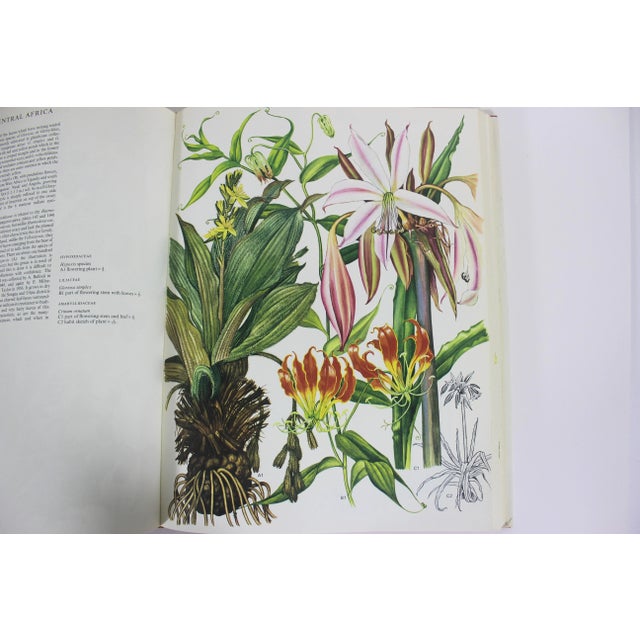 1970 Wildflowers of the World Hardcover Book Wild Flowers Botanical Painted Plants Colorful Flower For Sale - Image 10 of 12