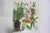 1970 Wildflowers of the World Hardcover Book Wild Flowers Botanical Painted Plants Colorful Flower For Sale - Image 10 of 12