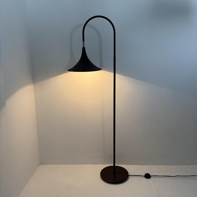 Minimalist Dutch Hala Zeist Trumpet Brown Floor Lamp, 1970s For Sale - Image 10 of 18
