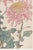 Not Yet Made - Made To Order Two Pink Chrysanthemums by Hasegawa, Vintage Japanese Botanical Art Print, 36" X 54" For Sale - Image 5 of 10