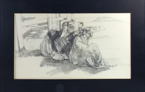 Contemporary Brigitte Woosley Brahman Cattle Pencil Study Drawing