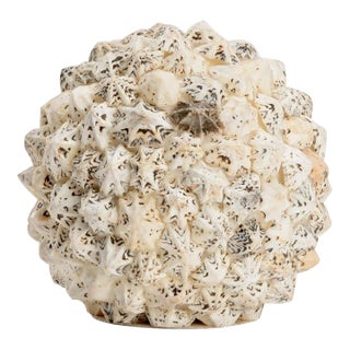 Shell Ball, Large For Sale
