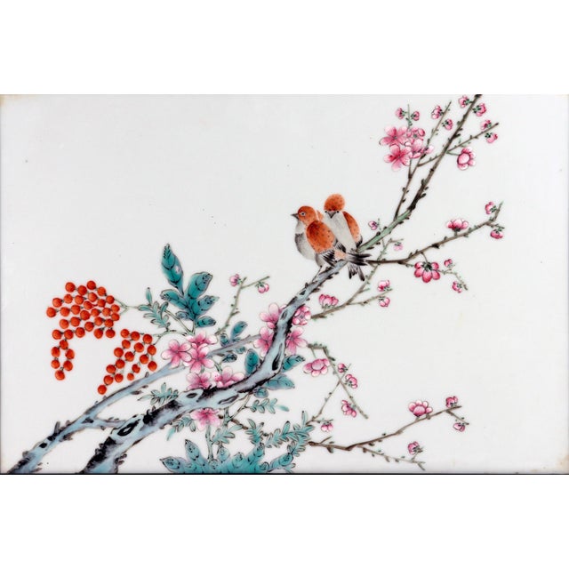 Chinese Chinese Porcelain Framed Famille Rose Plaque of Birds With Prunus and Cherry Trees For Sale - Image 3 of 6