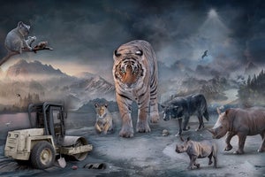 Protect What You Love by Marcin Owczarek | Photography on Fine Art Hahnemühle of animals in a surreal landscape