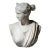 Grand Tour Marble Bust of Diana of Versailles, 19th Century For Sale