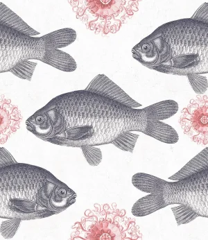 Fish Neutral Wallpaper Sample