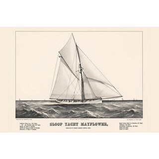 Sloop Yacht Mayflower, Vintage Art Print Reproduction, 24" X 16" For Sale