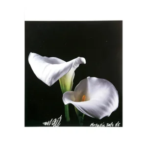 Calla Lily From the Metallic Sets, Jonathan Singer