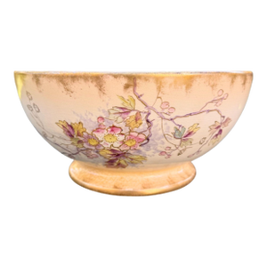 Antique 1890s Franz Anton Mehlem Royal Bonn Hand Painted Floral Bowl