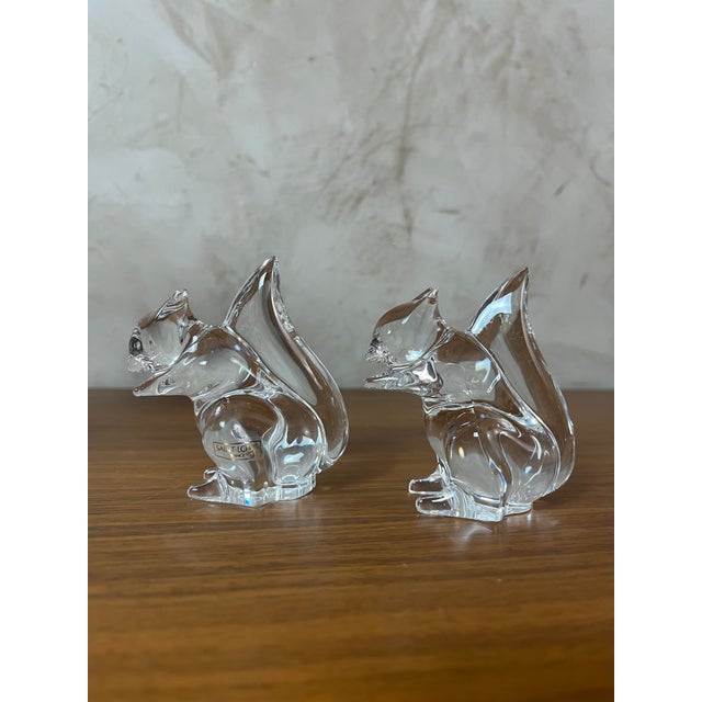 Squirrels from St. Louis, 1980s, Set of 2 For Sale - Image 8 of 17