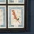 20th Century Italian Large Oak Frame with Pressed Flowers and Herbs For Sale - Image 13 of 18