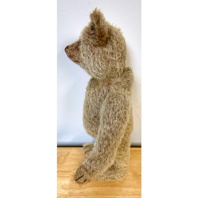 Antique Steiff Long Hair Gold Mohair Teddy Bear ' Alastair' , C. 1900s For Sale In West Palm - Image 6 of 6