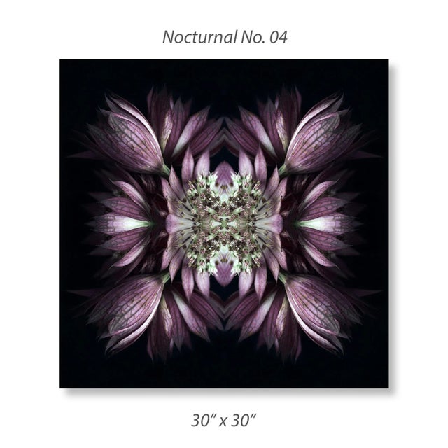 Modern "Nocturnal No. 04" Contemporary Original Abstract Botanical Photograph by Erin Derby For Sale - Image 3 of 6
