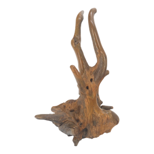 Large 25" Tall Artist Signed Driftwood Root Burl Wood Natural Sculpture NICE!