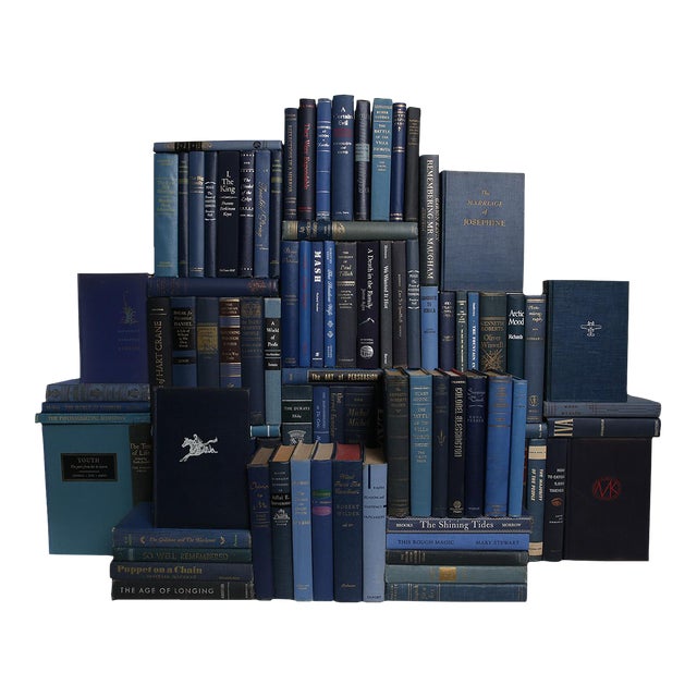 Decorative Books - Vintage Denim Book Wall - Set of 100 Blue Books For Sale