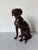Vintage Life-Size Bronze Sitting Dog Sculpture For Sale - Image 10 of 12