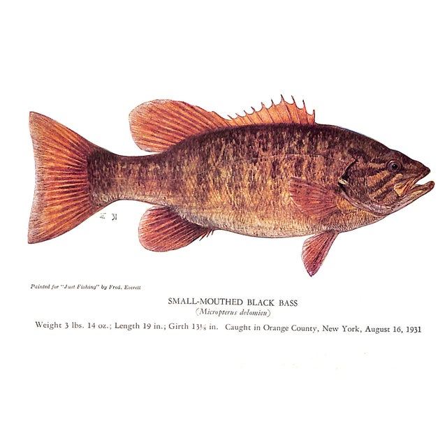 White "Just Fishing" 1946 Bergman, Ray For Sale - Image 8 of 12