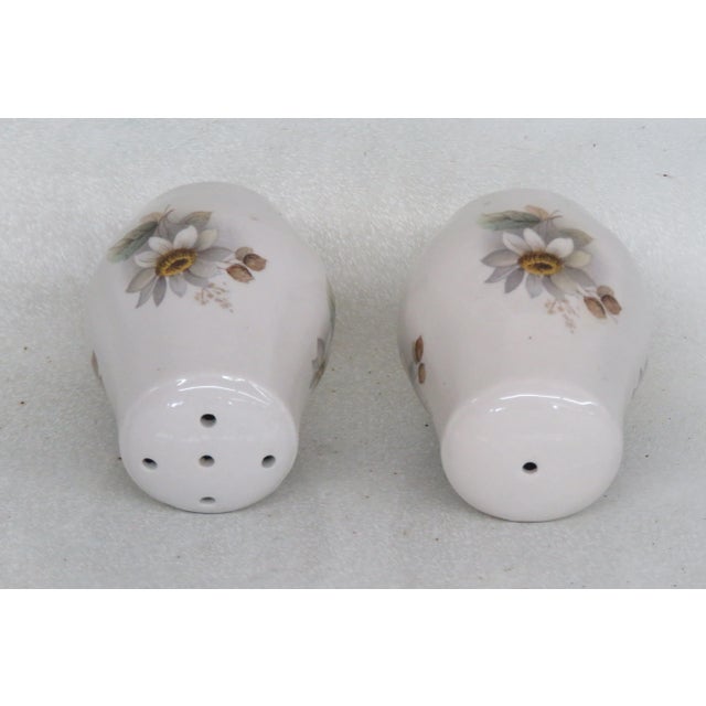 Late 20th Century Staffordshire Ceramic Daisey Flowers Set of Salt and Pepper Shakers For Sale - Image 5 of 12