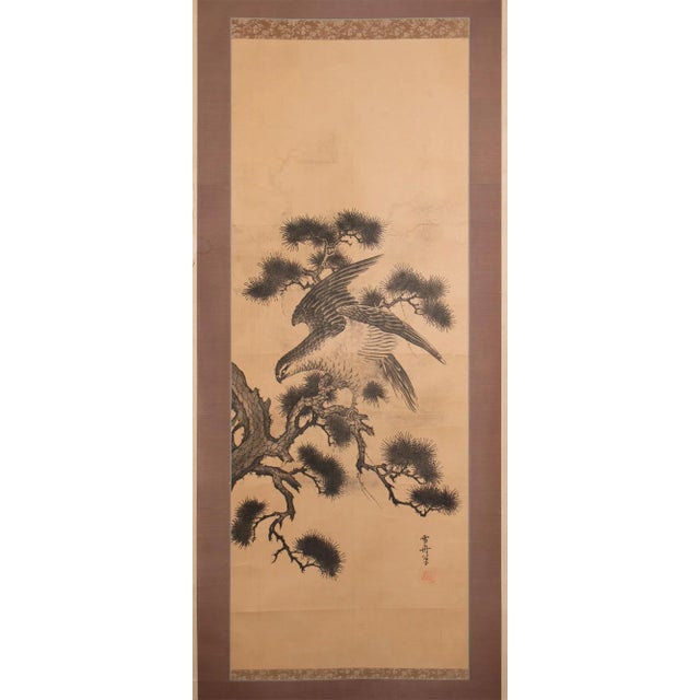 Excellent extra large antique or vintage Japanese Showa Era printed scroll depicting big old Pine Tree and Hawk. Signed...
