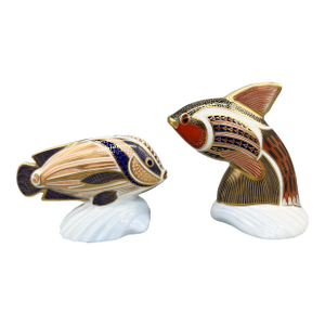 English Royal Crown Derby Porcelain “Guppy” & “Sweetlips” Fish Figurines/ Paperweights – Dated 1989 – Old Imari / European Coastal / Collectible