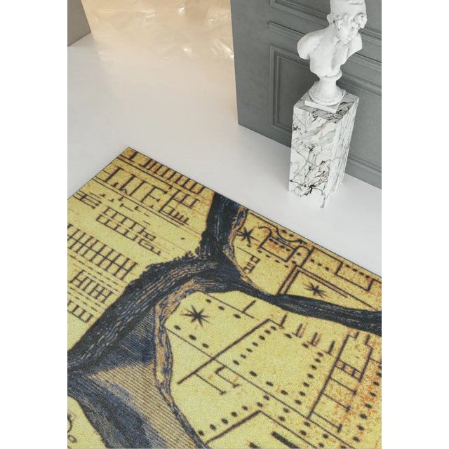 Contemporary Belgian Rug by Stefano Arienti For Sale - Image 3 of 6