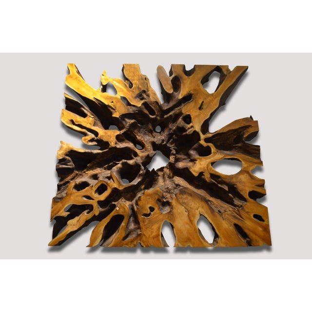 Andrianna Shamaris Impressive Teak Wood Root Art or Coffee Table For Sale - Image 4 of 18