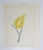 Mid-Century Modern Mid 20th Century Modernist Botanical Serigraph For Sale - Image 3 of 3