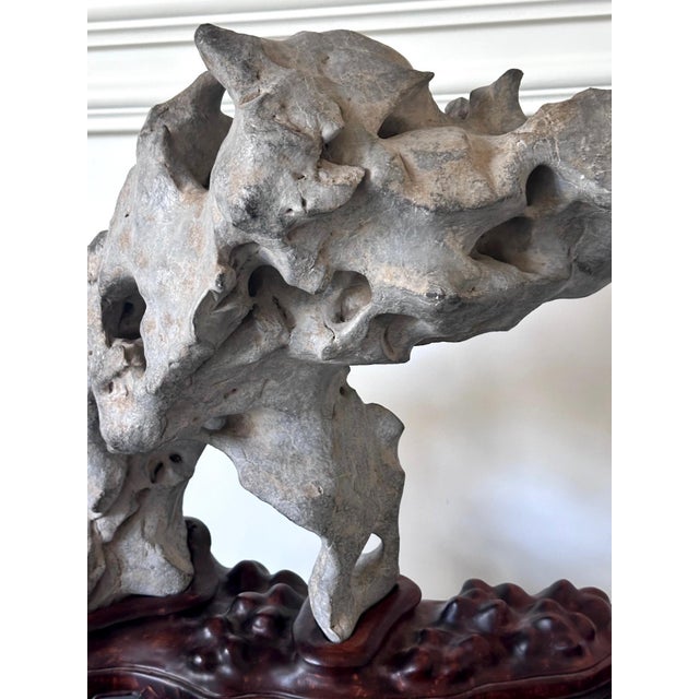 Wood Extraordinary Chinese Taihu Scholar Stone Rare Form on Display Stand For Sale - Image 7 of 18