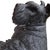 Sculpture Materials Scottish Terrier Dog Statue Black Cement Sculpture Realistic Scottie Large Vintage For Sale - Image 7 of 18