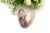Silver Mussel-Shaped Pill Box For Sale - Image 4 of 6
