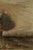 Paper 1850 Vintage Mushroom Art Print by Victor Hugo, Surreal Botanical Wall Art - 48" X 36" For Sale - Image 7 of 8