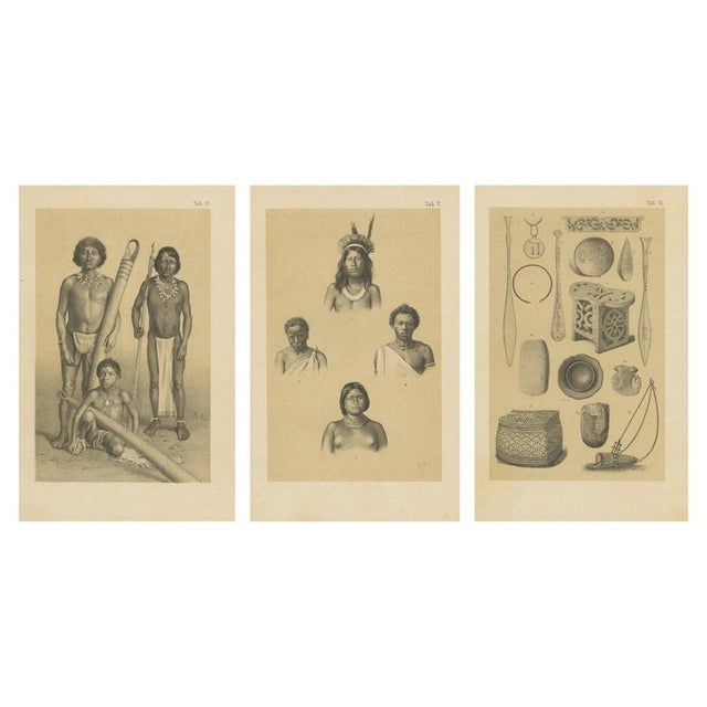 After Karl Martin, Suriname Indigenous People & Tribal Objects, Lithographs, 1888, Set of 3 For Sale - Image 10 of 10