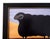 Matt Rix, Naive Style Prize Black Ram, Print, Framed For Sale - Image 4 of 13