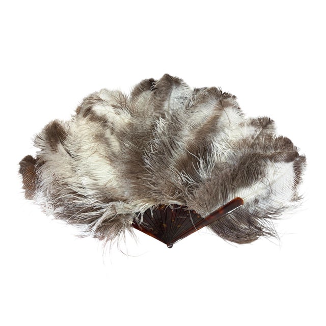 Antique Art Deco Folding Hand Fan W/ Natural Ostrich Feathers and a Faux-Tortoiseshell 20" H For Sale - Image 9 of 11