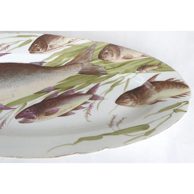 Antique Bawo Dotter Karlsbad Bbd Carlsbad Austria HandPainted Fish