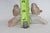 Otagiri Three Birds Perched on Branch Porcelain Figurine Made in Japan 4965b For Sale In Miami - Image 6 of 13