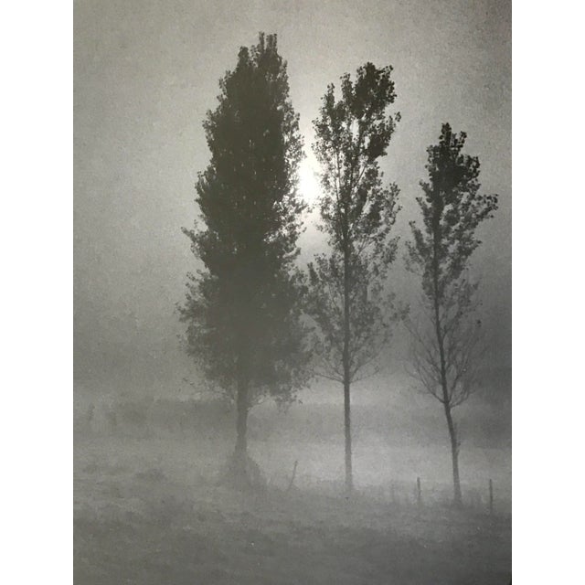 Vintage Richard D’Amore Black and White Landscape Signed Photograph For Sale - Image 4 of 13