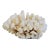 Large Creamy White Nautical Natural Coastal Ocean Coral Specimen For Sale