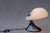 Cobra Table Lamp from Guzzini, Italy, 1970s For Sale - Image 6 of 14