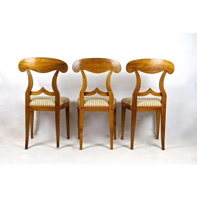 Biedermeier Nutwood Shovel Dining Chairs, 19th Century, Set of 6 For Sale - Image 12 of 13