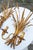 Gold Italian Gilt Metal Wall Sconces with Leaves and Ears of Wheat, 1960s-1970s, Set of 2 For Sale - Image 8 of 11