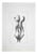 Giacomo Porzano, Nude, Etching, 1972 For Sale
