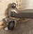 Vintage Adjustable Mannequin on Wheels For Sale - Image 9 of 9