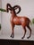 Mid 20th Century Mid 20th Century Ram Leather Sculpture For Sale - Image 5 of 6
