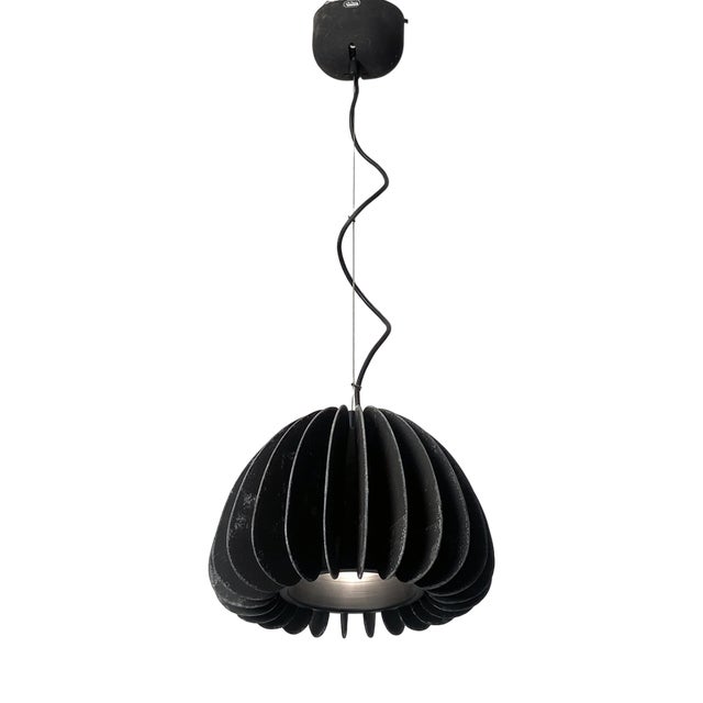 Mariposa Hanging Light by Gigi and Pepe Tanzi for Dalca, 1970 For Sale