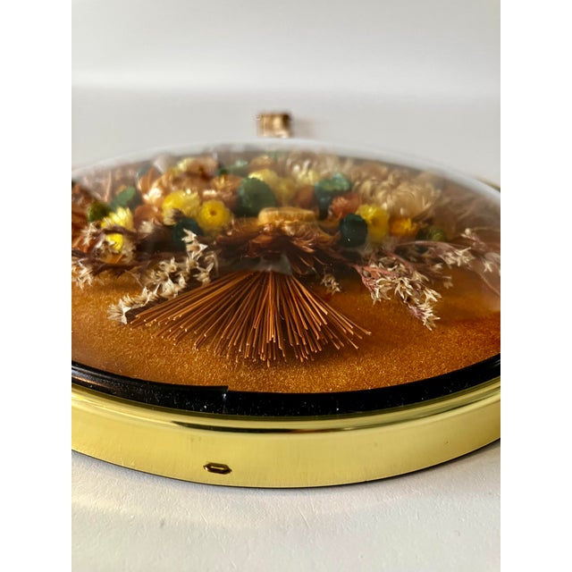 Orange Vintage 1970s Belgian Cideart Convex Bubble Glass Dried Flower Shadow Box For Sale - Image 8 of 12