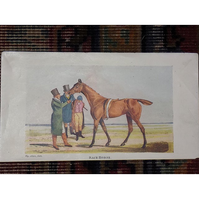 Realism Authentic Antique (c.1903) British Horse/Equine Racing Lithographs - Set of 7 For Sale - Image 3 of 10