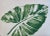 Contemporary Kravet Fabrics Hand-Printed Green Botanical Banana Leaf Feather/Down Pillow 23" X 17" For Sale - Image 3 of 6