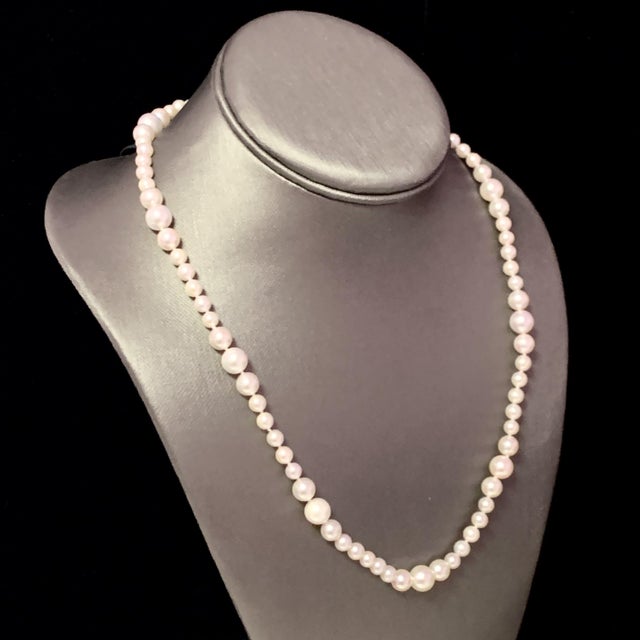 White Akoya Pearl Necklace 14k Yellow Gold Certified For Sale - Image 8 of 11