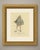 This is an original antique copper engraving with hand coloring, lettered "habit of a merchant of misnia, in 1577." it is...
